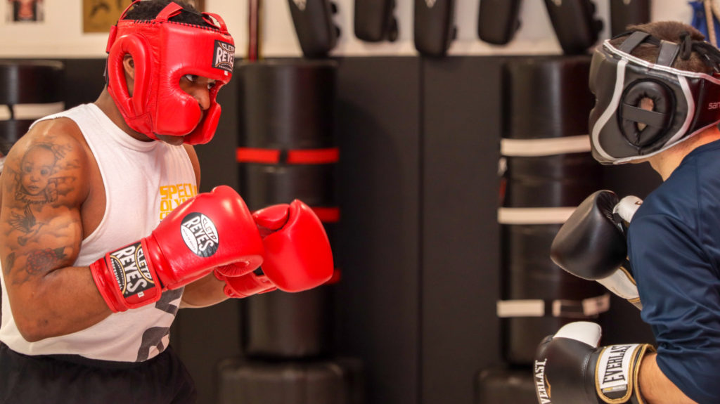 learn more about precision boxing and mma